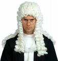 JudgePic src=